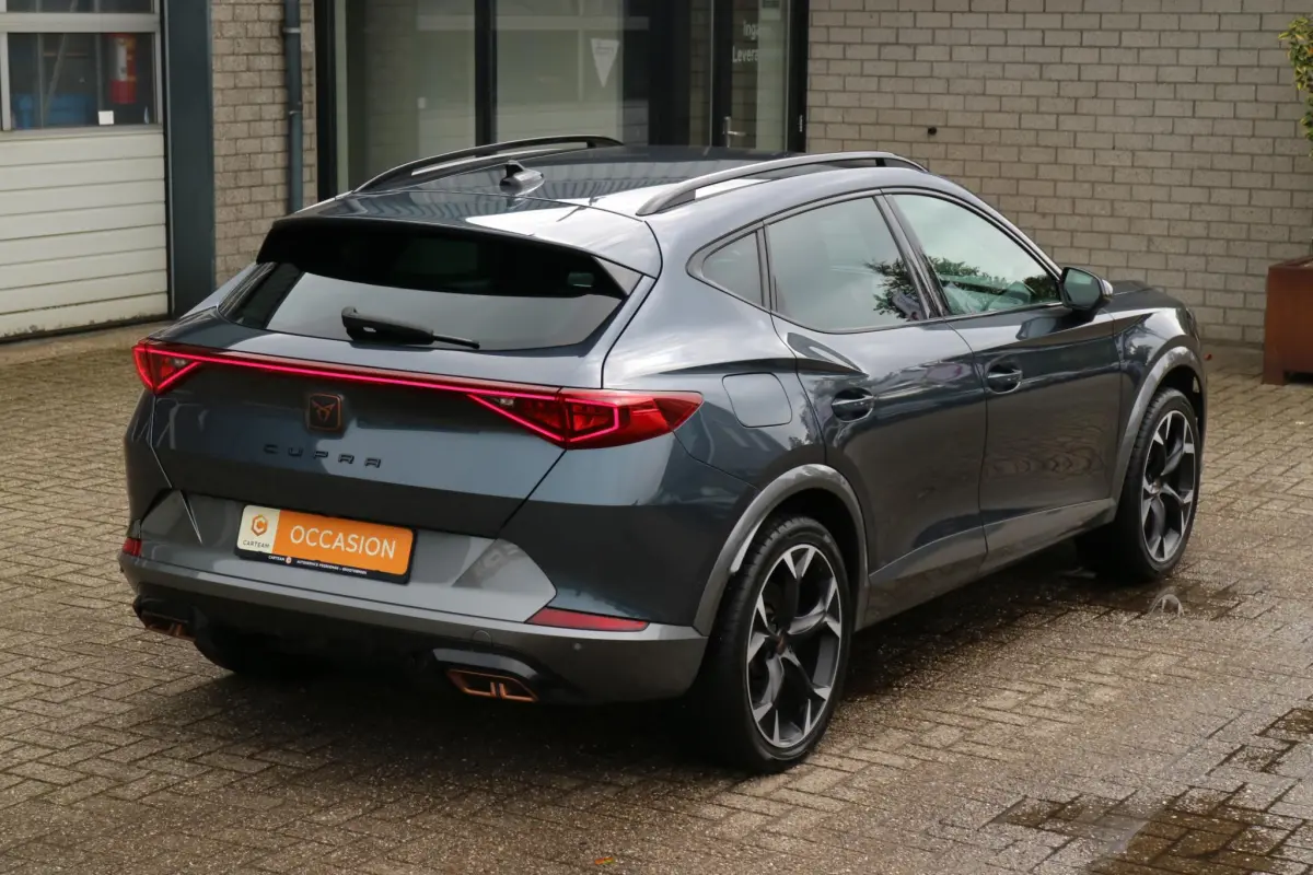 Formentor 1.4 e-Hybrid VZ Performance | PHEV | Trekhaak | Camera |