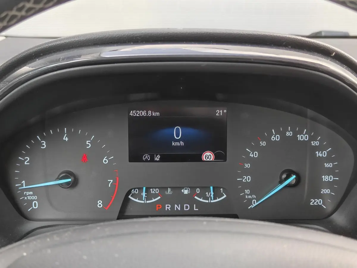 Puma 1.0 EcoBoost Hybrid Titanium | Automaat | Clima | Cruise