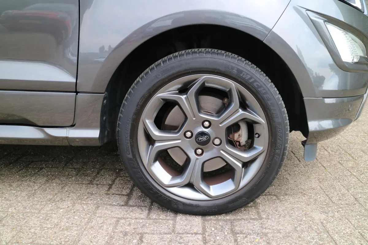 EcoSport 1.0 EcoBoost ST-Line | Trekhaak! | Camera | Bliss! |