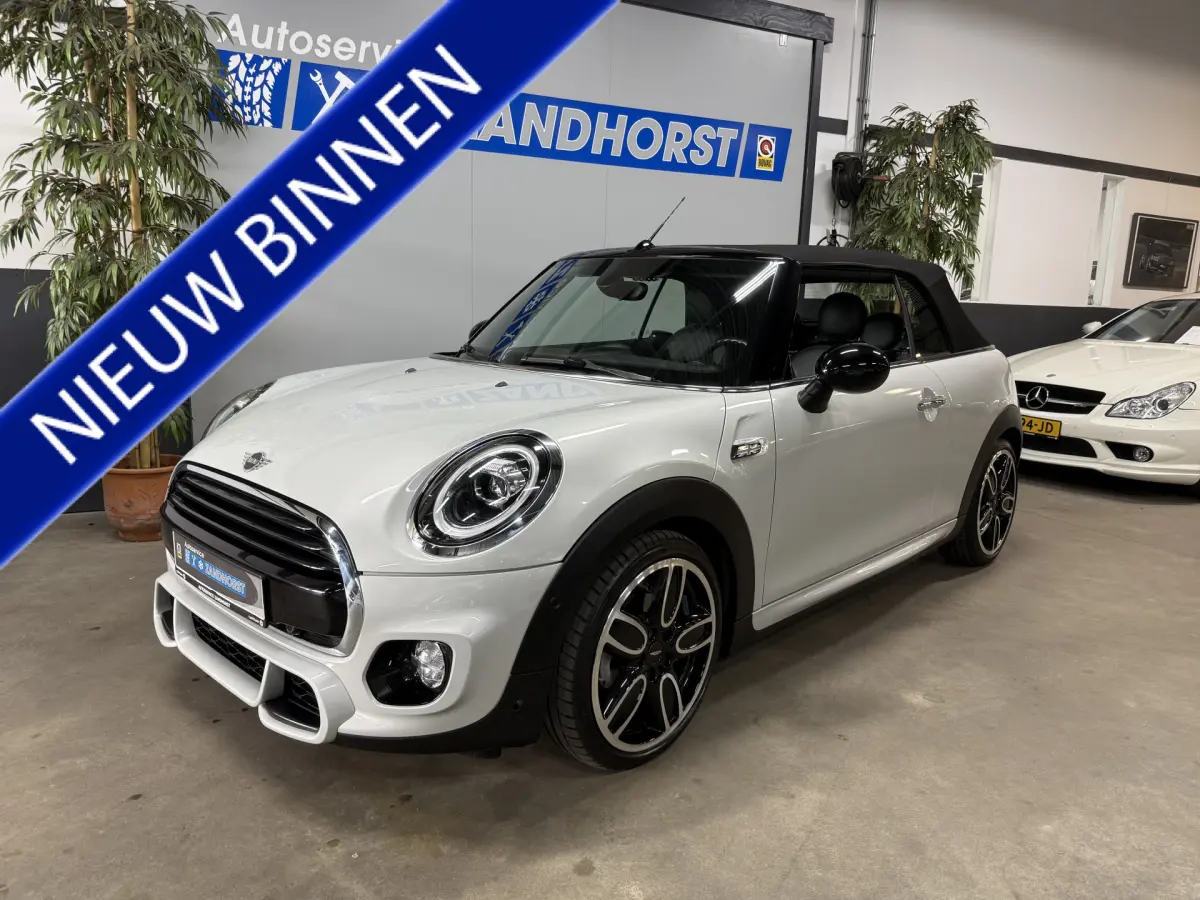 Cooper Cabrio 1.5 Salt // Leer // Mini Yours // JCW!