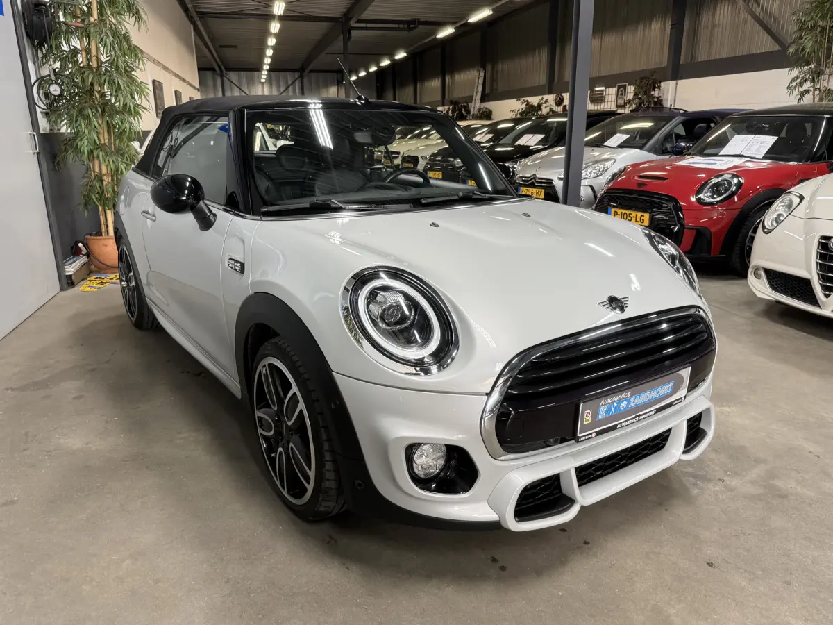 Cooper Cabrio 1.5 Salt // Leer // Mini Yours // JCW!