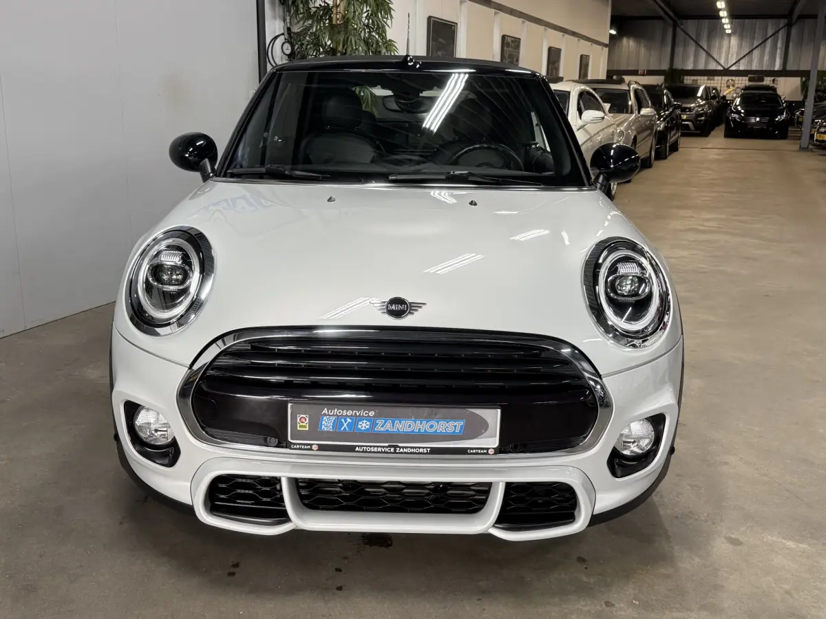 Cooper Cabrio 1.5 Salt // Leer // Mini Yours // JCW!