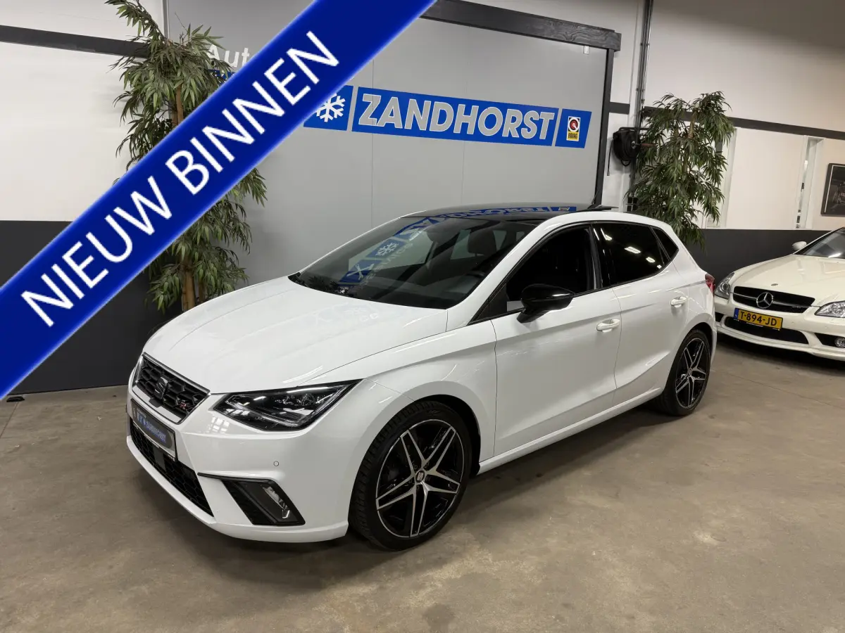 Ibiza 1.0 TSI FR Business Intense // Panodak