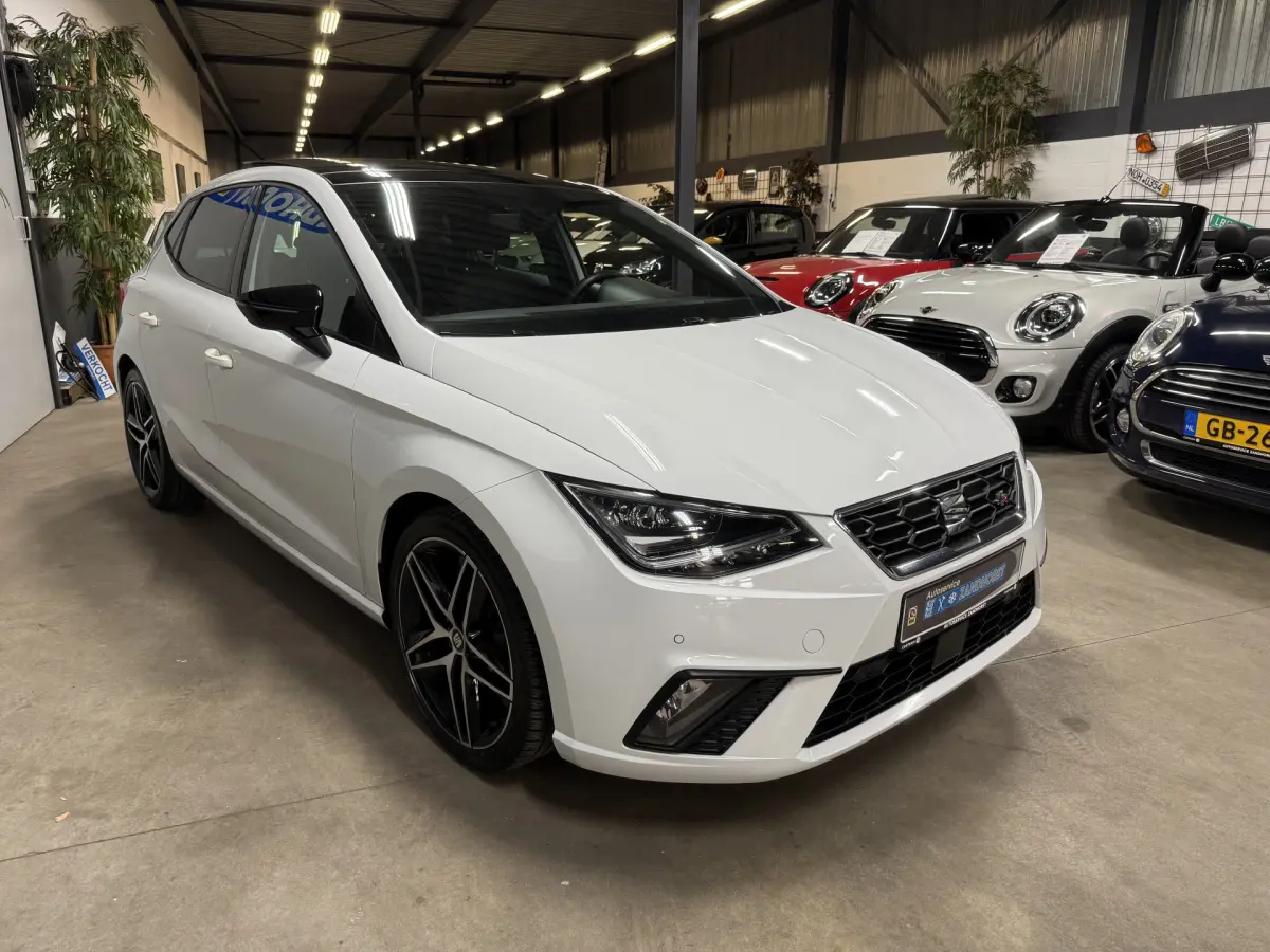 Ibiza 1.0 TSI FR Business Intense // Panodak