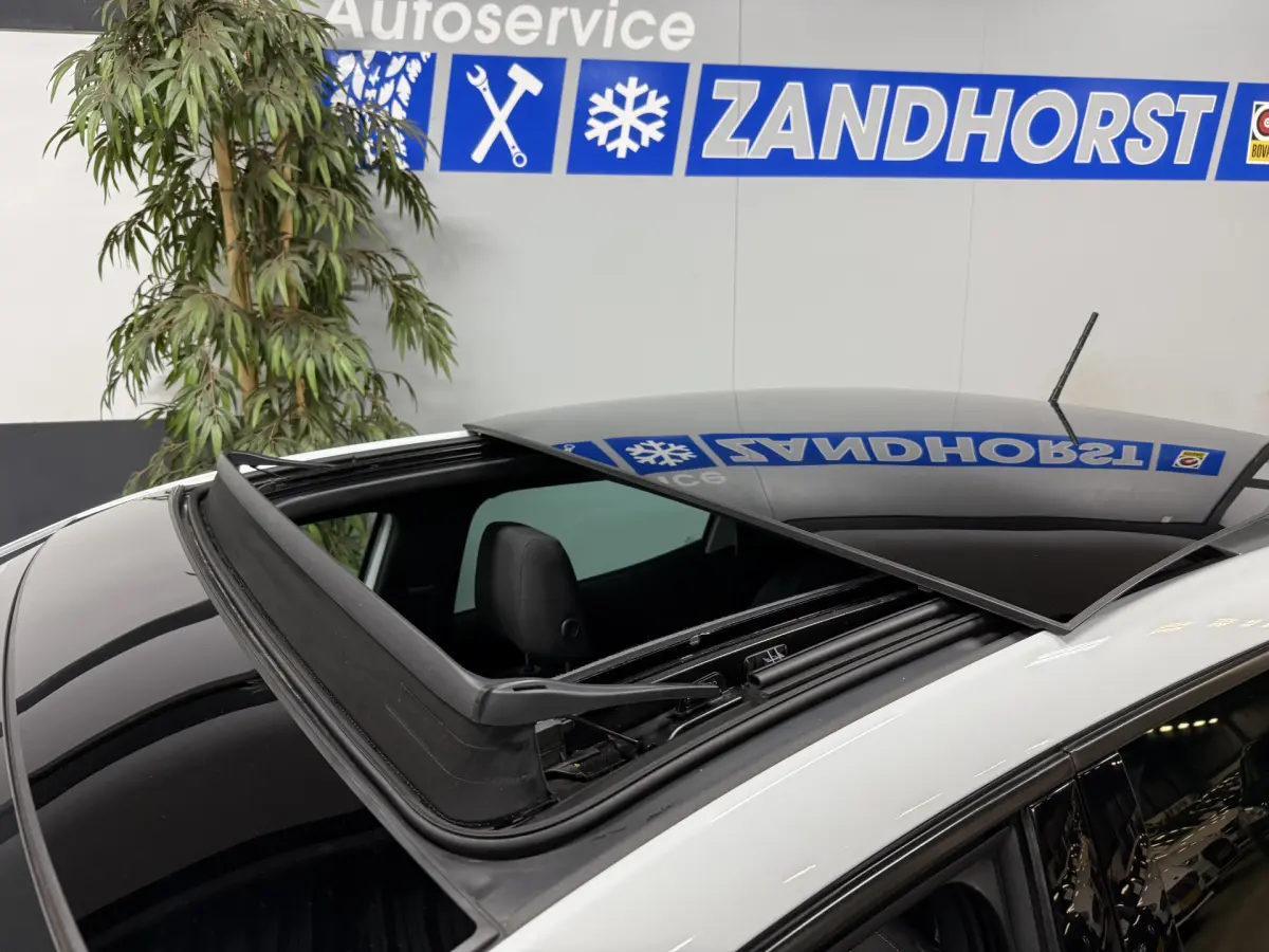 Ibiza 1.0 TSI FR Business Intense // Panodak