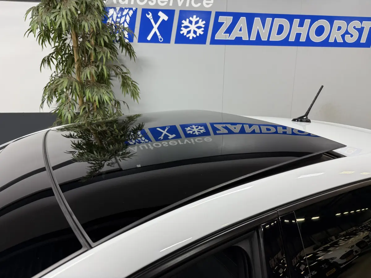 Ibiza 1.0 TSI FR Business Intense // Panodak