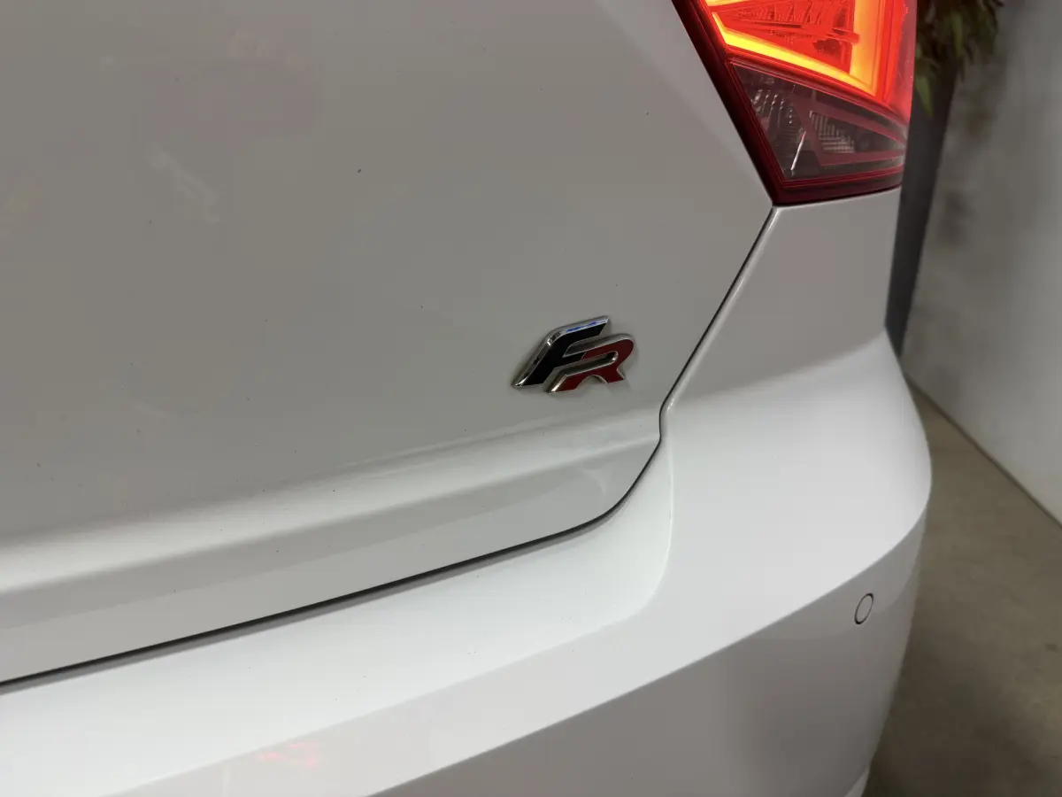Ibiza 1.0 TSI FR Business Intense // Panodak