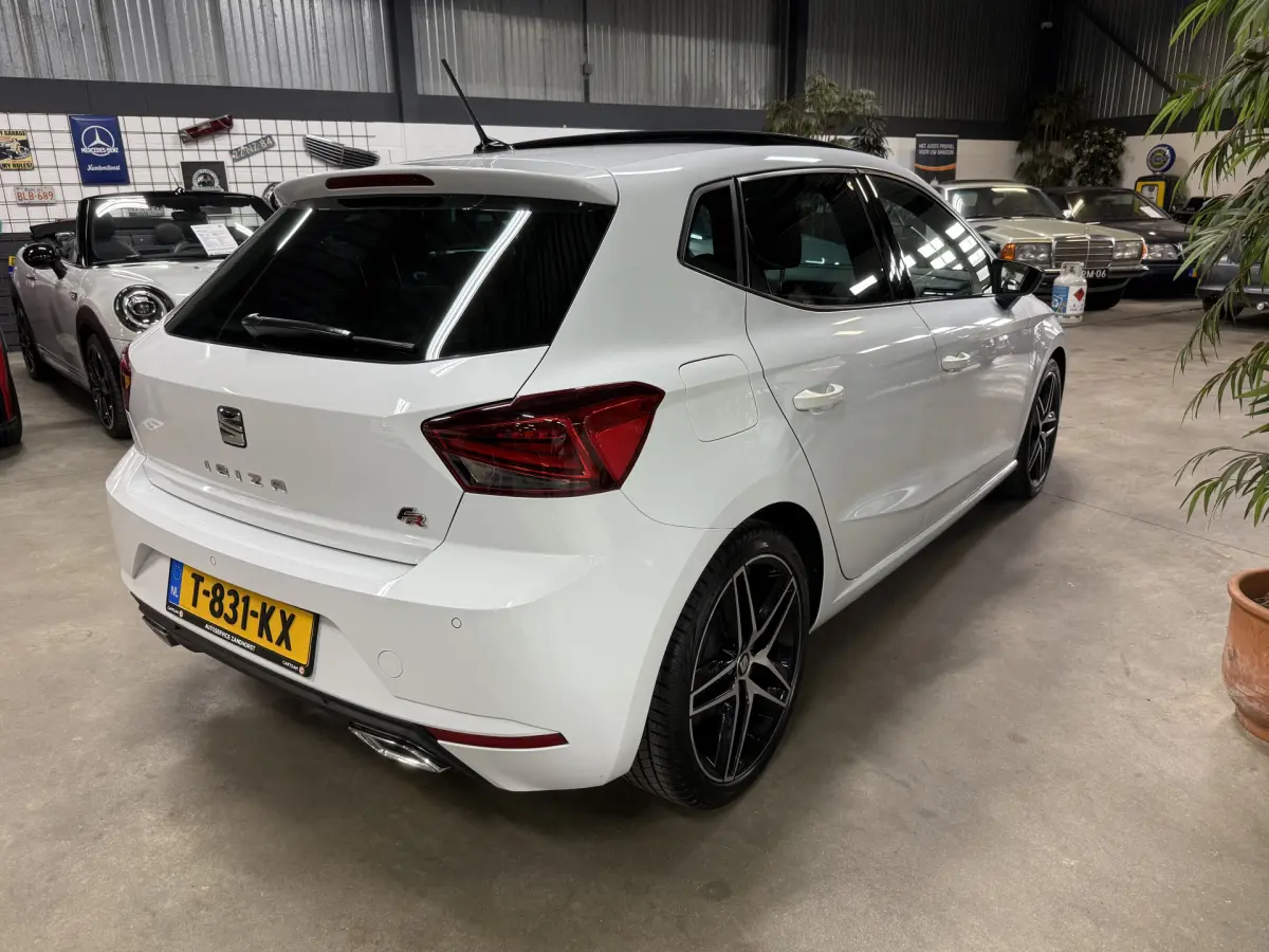 Ibiza 1.0 TSI FR Business Intense // Panodak