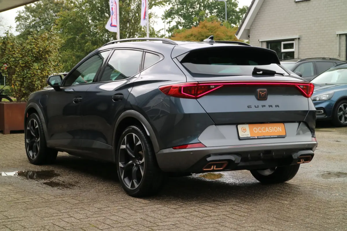 Formentor 1.4 e-Hybrid VZ Performance | PHEV | Trekhaak | Camera |