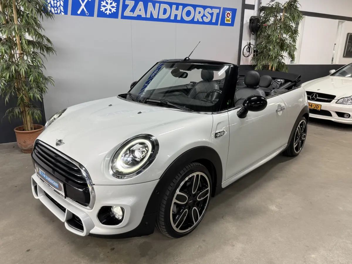 Cooper Cabrio 1.5 Salt // Leer // Mini Yours // JCW!
