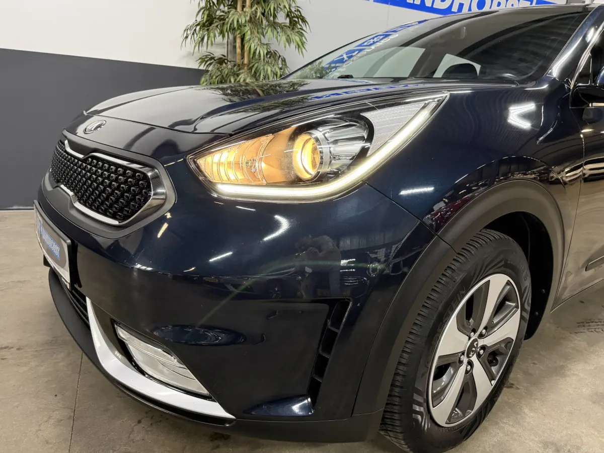 Niro 1.6 GDi Hybrid DynamicLine // Ecc // Cruise