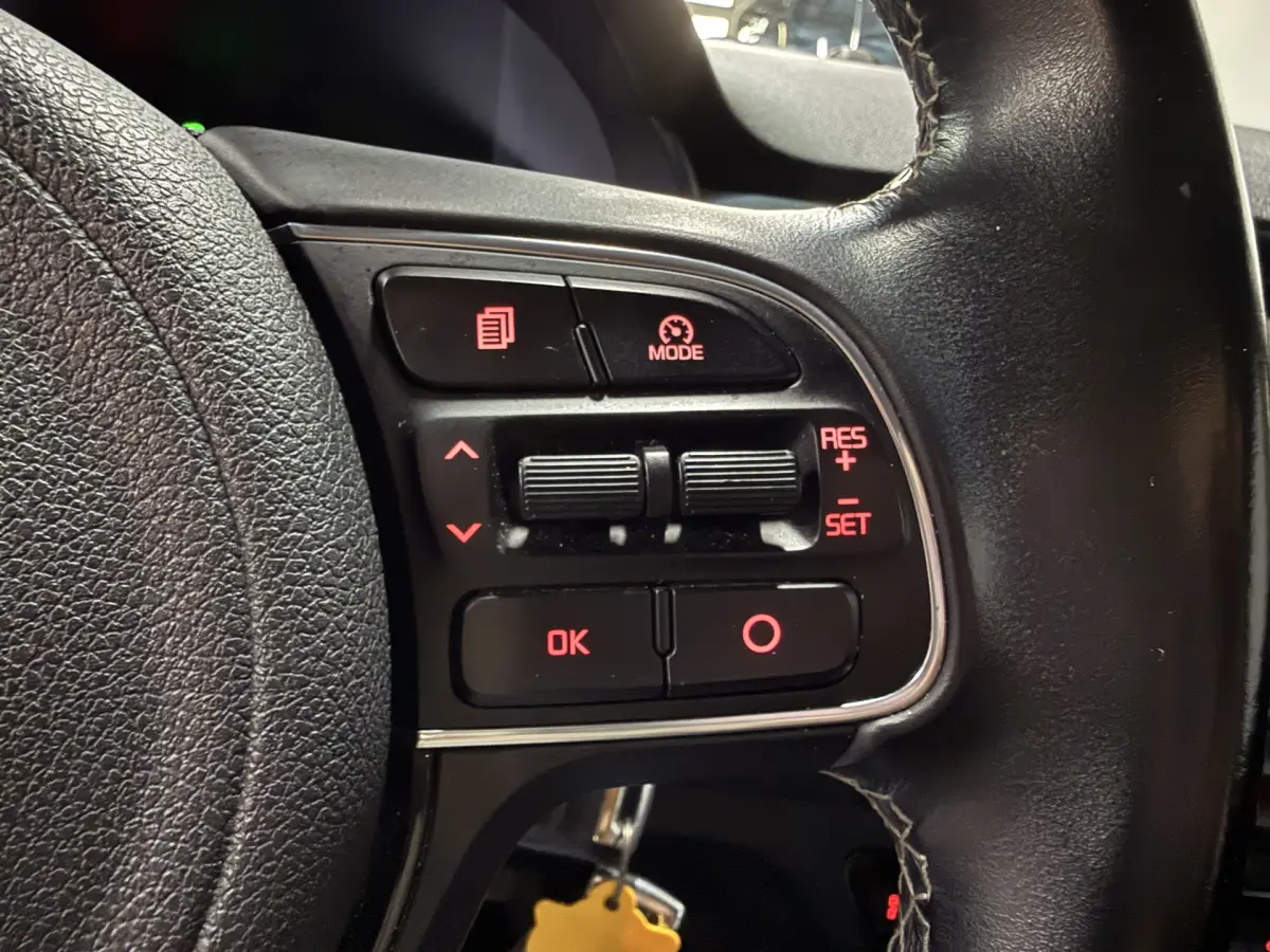 Niro 1.6 GDi Hybrid DynamicLine // Ecc // Cruise