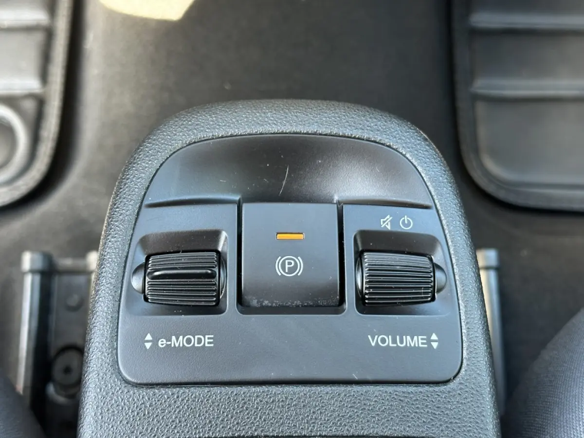 500 Electrisch SOH 92% Icon 42 kWh | CarPlay | Cruise | Airco | Winterpak. | PDC
