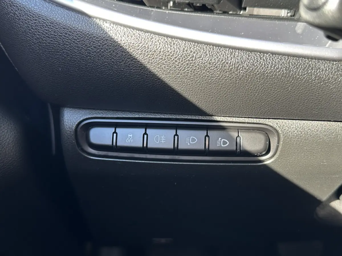 500 Electrisch SOH 92% Icon 42 kWh | CarPlay | Cruise | Airco | Winterpak. | PDC