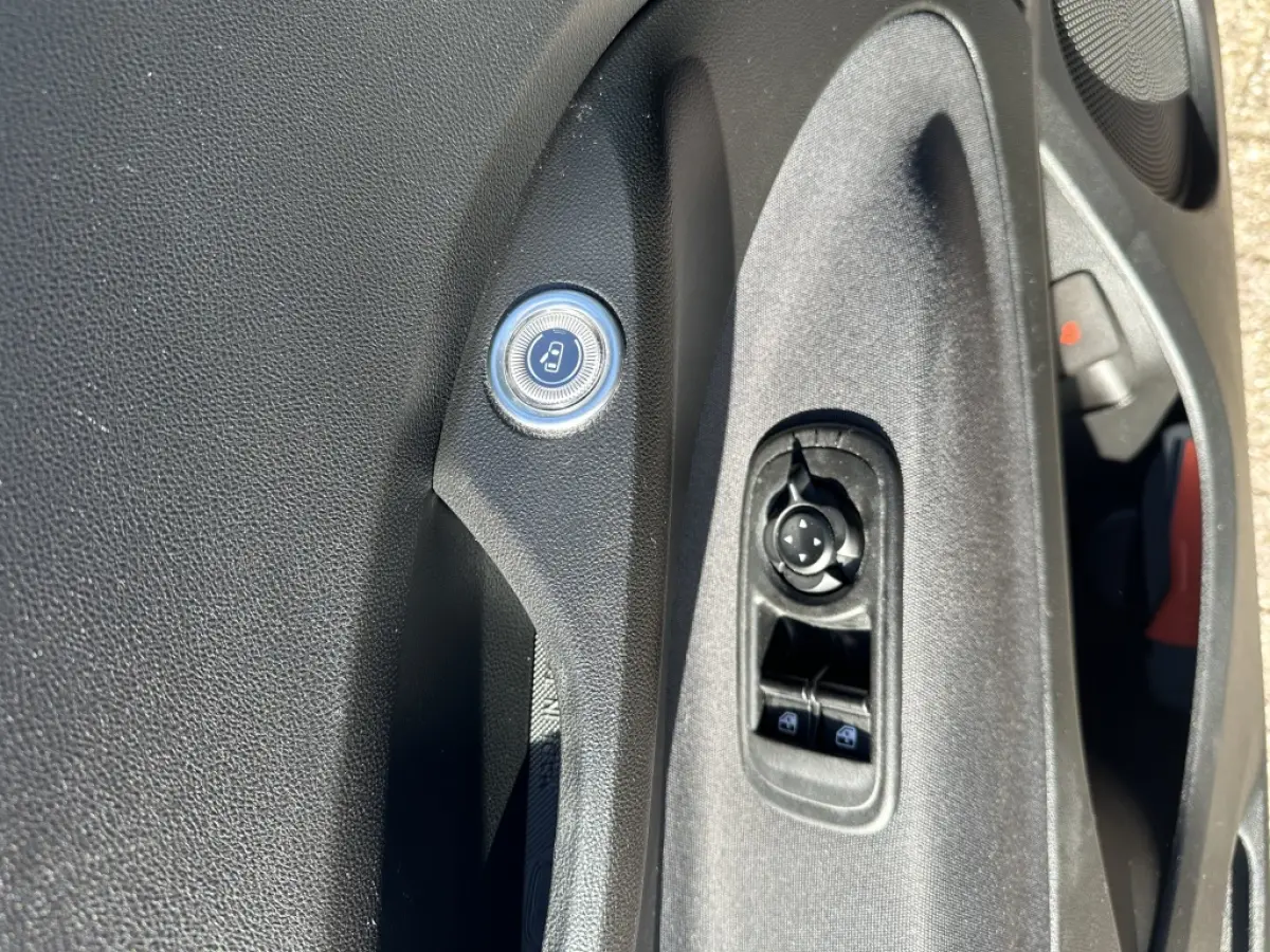 500 Electrisch SOH 92% Icon 42 kWh | CarPlay | Cruise | Airco | Winterpak. | PDC