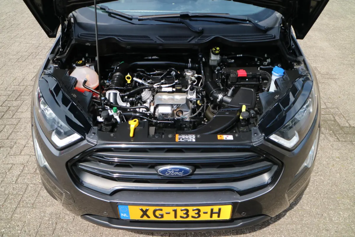 EcoSport 1.0 EcoBoost ST-Line | Trekhaak! | Camera | Bliss! |