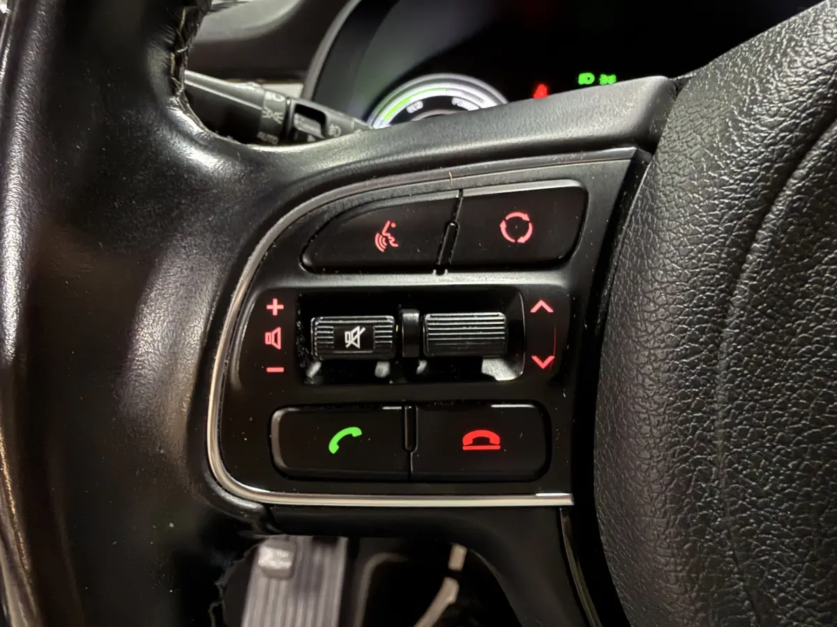 Niro 1.6 GDi Hybrid DynamicLine // Ecc // Cruise