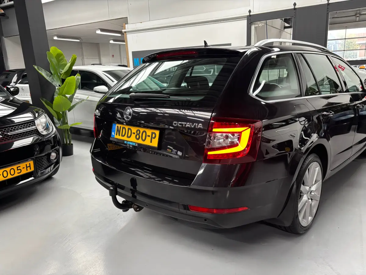 Octavia Combi 1.5 TSI Greentech Business Edition Plus / Carplay