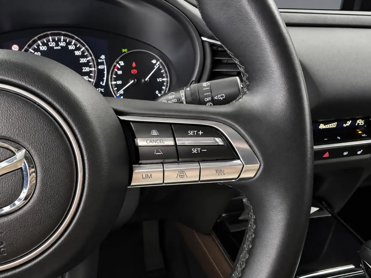 CX-30 2.0 e-SkyActiv-X M Hybrid Luxury |NAP|HUD|