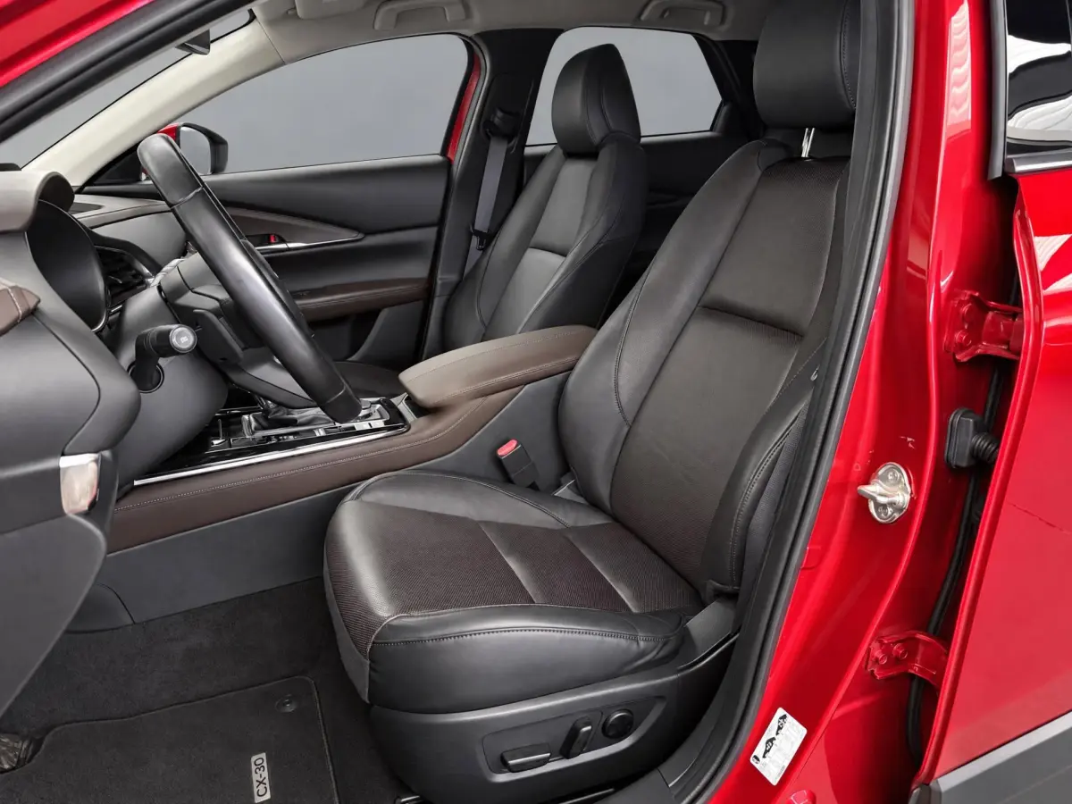 CX-30 2.0 e-SkyActiv-X M Hybrid Luxury |NAP|HUD|