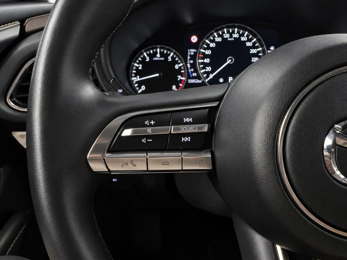 CX-30 2.0 e-SkyActiv-X M Hybrid Luxury |NAP|HUD|